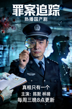 热播国产剧《罪案追踪》海报